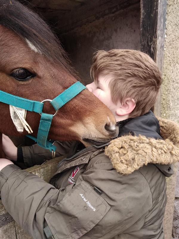 Les jeunes du D.ITEP investis auprès des animaux abandonnés